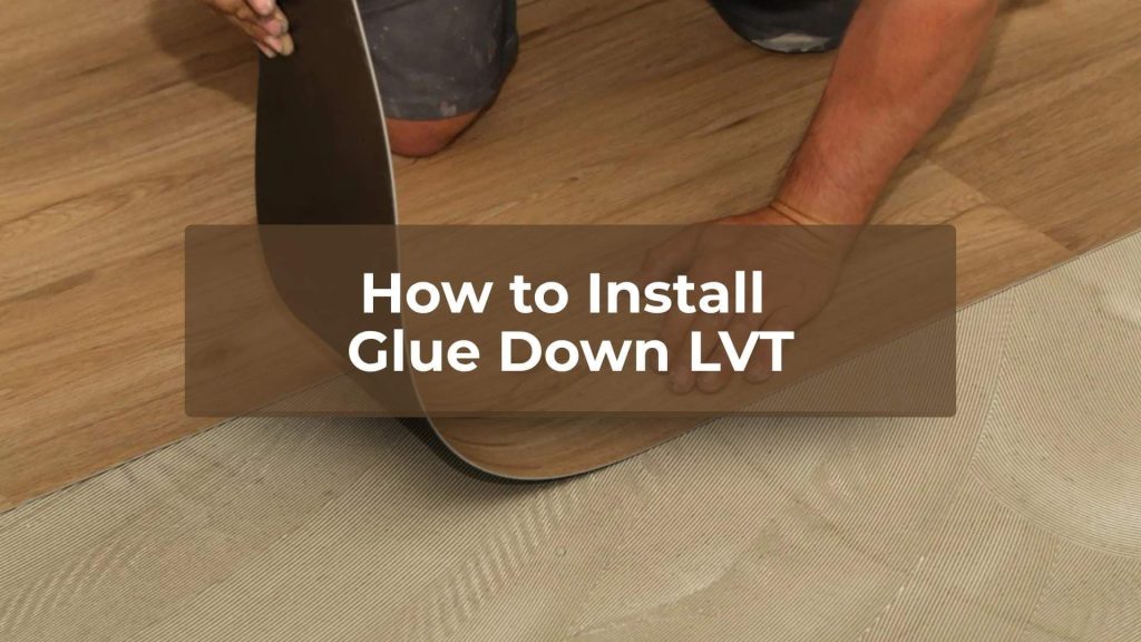 Glue LVT 2